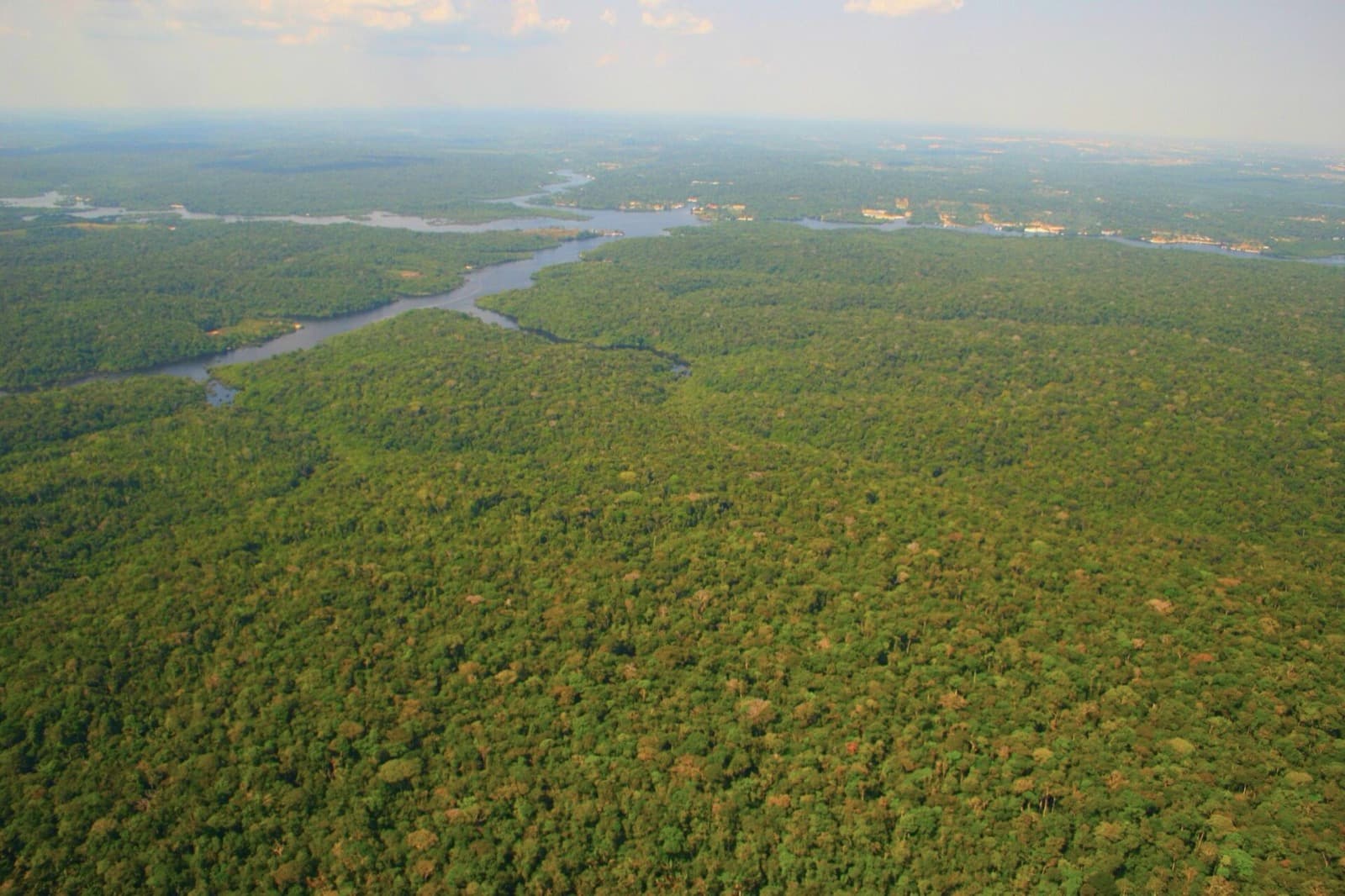 Floresta amazônica vista de cima, cortada por um rio